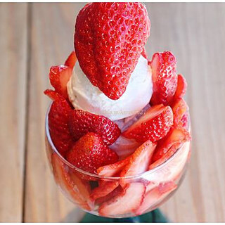 KIPPY'S COCO-CREAM_1