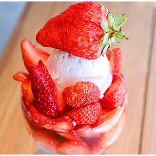 KIPPY'S COCO-CREAM_0