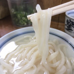 釜あげうどん 長田 in 香の香 - うどんはモチモチの餅