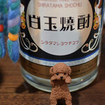 朝めし酒場 ナニコレ食堂 - ５本目