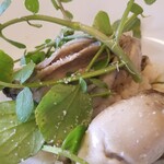 アル・ケッチァーノ - ◆「三陸産の牡蠣とわんぱく農場のクレソンのリゾット」