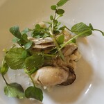 アル・ケッチァーノ - ◆「三陸産の牡蠣とわんぱく農場のクレソンのリゾット」