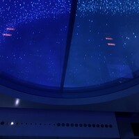 サンシャイン クルーズ・クルーズ - 