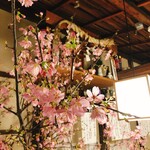 うどん酒場 萬斎 - 