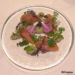 カーサ・デル・チーボ - 桜鱒のﾏﾘﾈ 蕗の薹のﾊﾞｰﾆｬｶｳﾀﾞｿｰｽ