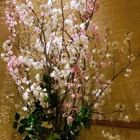 御曹司 きよやす邸 六本木本店 - 
