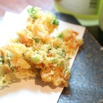 Washoku Enishi Sobakiri - 小海老と野菜のかき揚げ