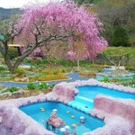 Tousuibou - 庭園の中にある圧巻の枝垂桜