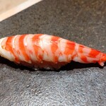 寿し おおはた - 車海老