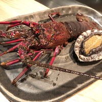 京風鉄板 はせ川 - 活伊勢海老と活鮑