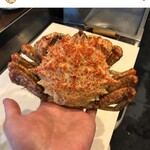 サクラマス食堂 - 