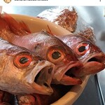 サクラマス食堂 - 