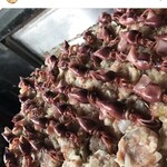 サクラマス食堂 - 