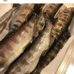 サクラマス食堂 - 