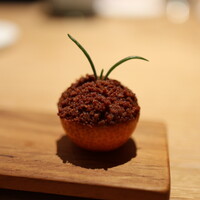 マンサルヴァ - 