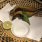 黒川温泉御処 月洸樹 - 