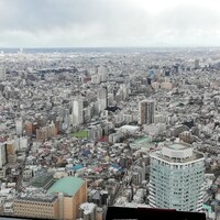 サンシャイン クルーズ・クルーズ - 