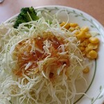 ウッディ・ハウス - コーンはもちろんよける