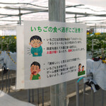 카루이자와 가덴팜 이치고엔 - 