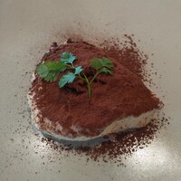 Cucina del NABUCCO - 