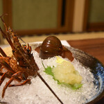 紀伊乃国屋　別亭 - 