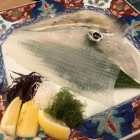 河太郎 中洲本店 - 活きいか姿造り