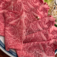 白鳥 -  白鳥 -