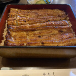 Kakumoto Unagi - 