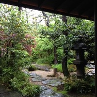 旅館 くらしき - しっとりと雨に濡れたお庭を見つつ