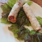 串カツ ワンダーウォール - ベトナム揚げ春巻き２本