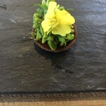 ヴィラ・アイーダ - 