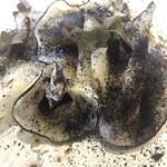 ヴィラ・アイーダ - 