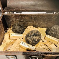 マルゴット エ バッチャーレ - 