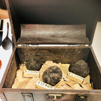 マルゴット エ バッチャーレ - 