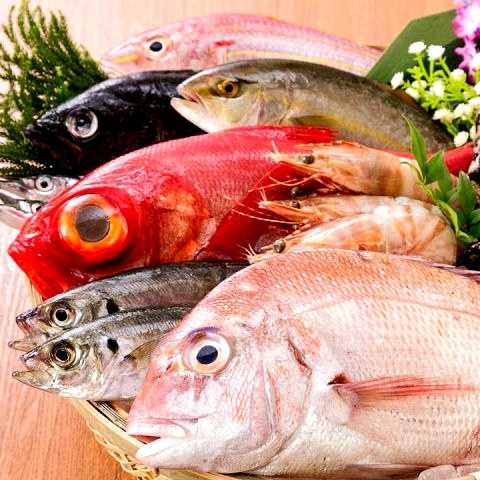 Otona no Kakurega Shukobito Toyota Ten photo 3