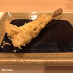 旬菜 一颯 - 女鯒