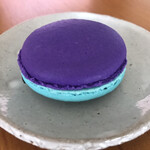 アシッドラシーヌ - スゴイ色(^｡^)