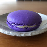 アシッドラシーヌ - 