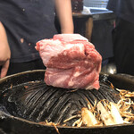 炭火焼 生ラム ジンギスカン だるまや - 