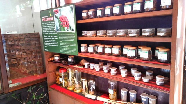 御薬園 - 会津若松（その他）の写真