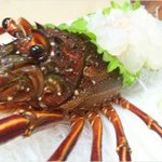 Taikai - 【要予約】伊勢海老の刺身。6月末まで。ボイル・鬼殻焼きもできます