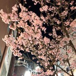 博多のおでん - 桜も咲いたけん店も開くやろ？ww