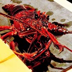 銀座 しのはら - 伊勢海老