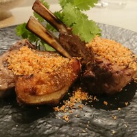 CINA New Modern Chinese - 