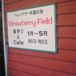 Strawberry Field - 