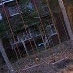 フォリオリーナ・デッラ・ポルタ・フォルトゥーナ - ブランコ