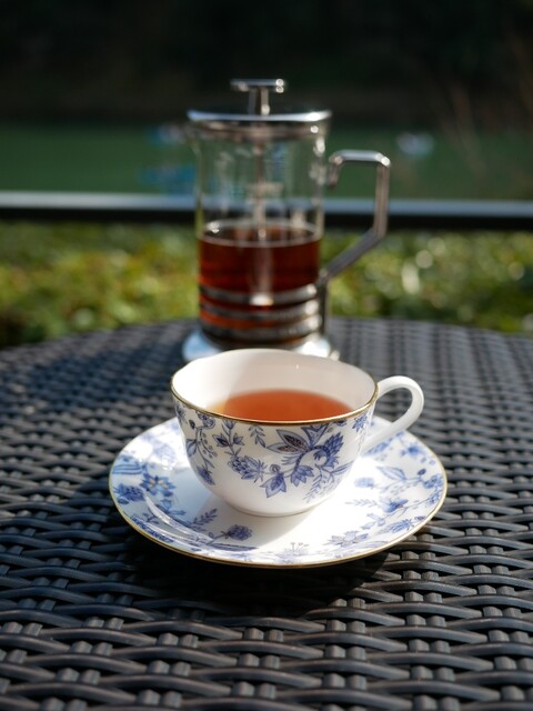 Saryo Hassui photo 2