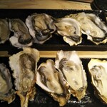 日本酒と牡蠣 時々おでん BACHIYA - 