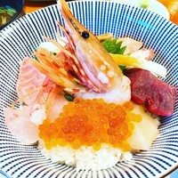 魚竹 - 