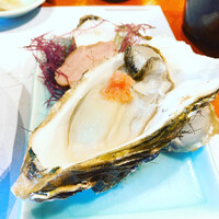 魚竹 - 